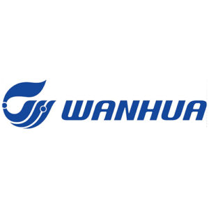 Blue logo Wanhua sq